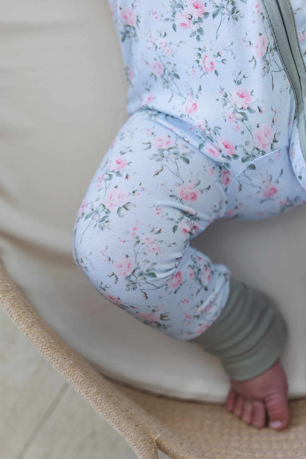 Eloise - Zippy