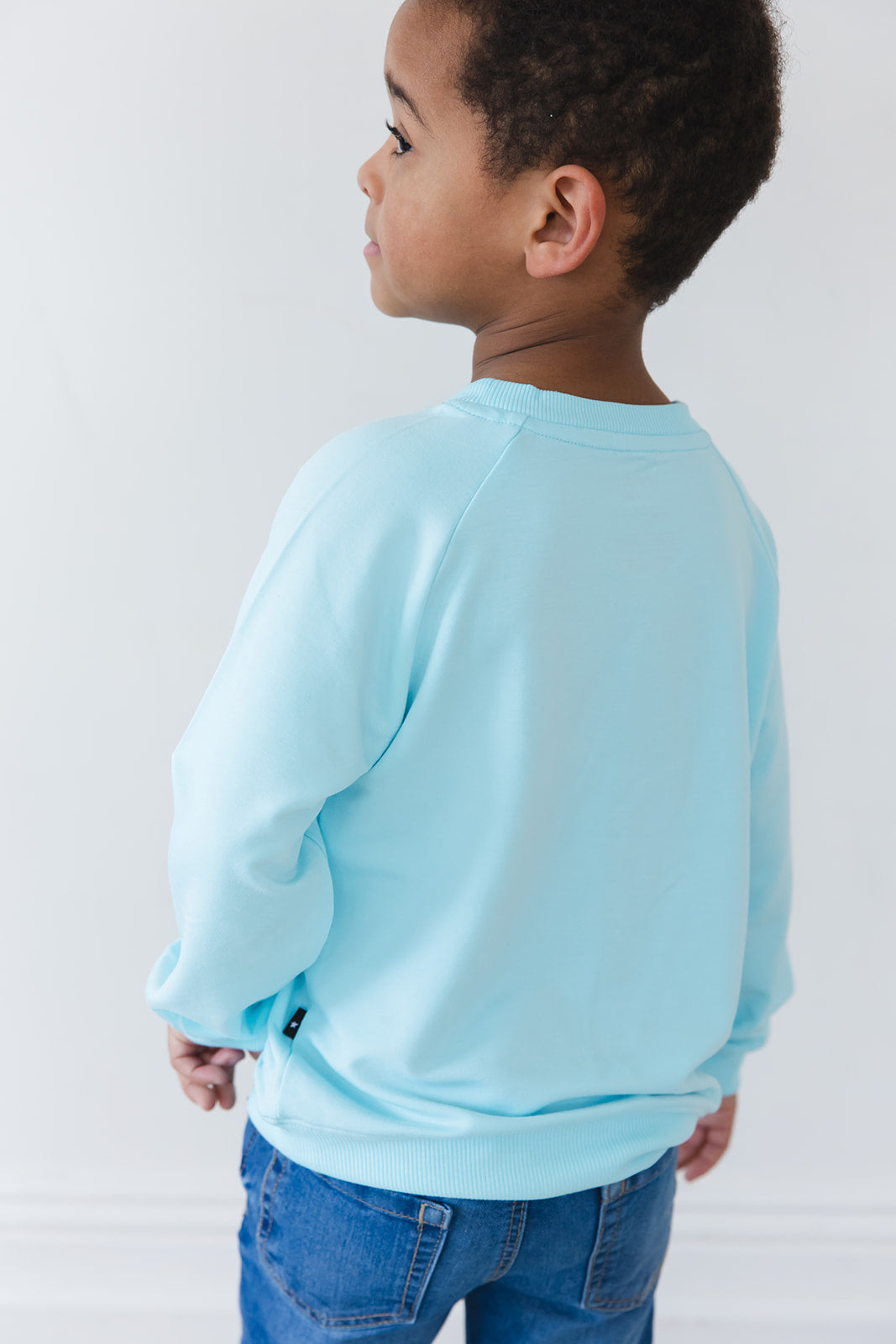 (SOLID) Magical Mashup - Bamboo Terry Sweatshirt