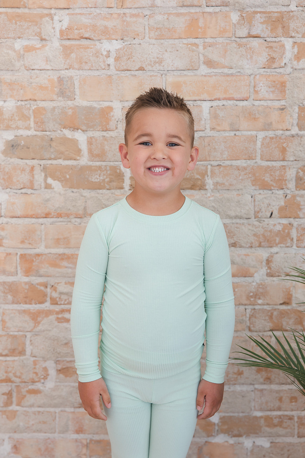 (SOLID, ribbed) Lion Around - Set