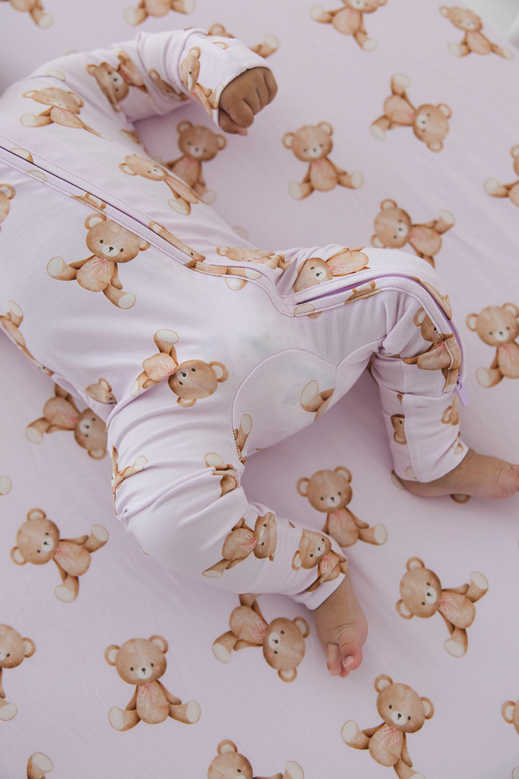 Teddy - Zippy