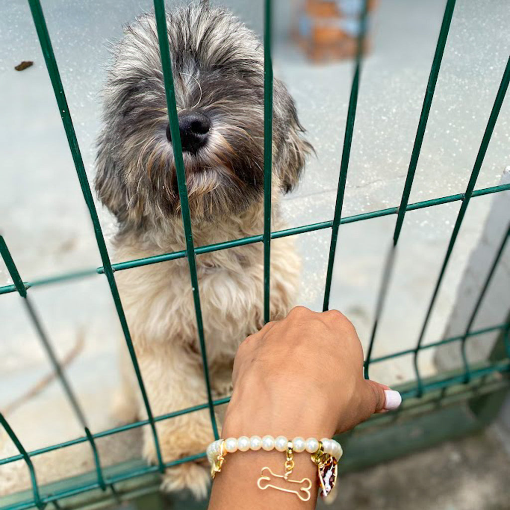 Bone gold charm