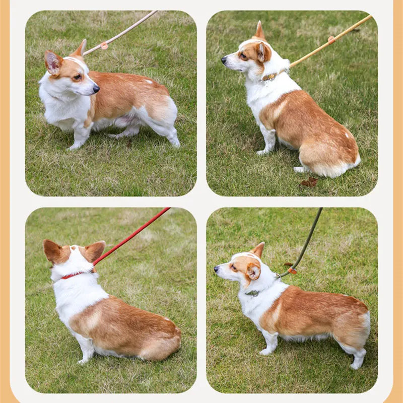 Dog training collar anti riot nylon hand P rope extended thickened unbreakable hand training dog round rope large dog P chain