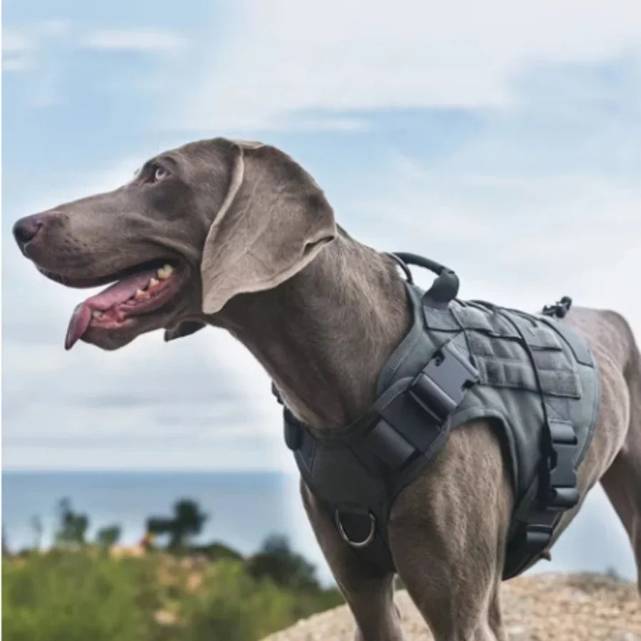Tactical Dog Harness Military Training  Padded Quick Release Vest Pet Training Dog Harness For Set Small Medium Large Dogs
