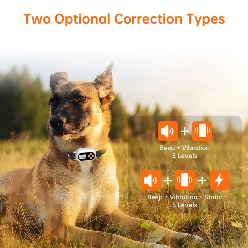 Smart GPS Pet Electronic Fence Wireless Pet Enclosure Waterproof Outdoor Training Collar for Dogs Pet Products Accessories