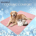 Summer New Thick Pet Cooling Pad with Cute Bear Pattern Washable Ice-Like Smooth Pet Mattress Outdoor Indoor Use For Dog And Cat
