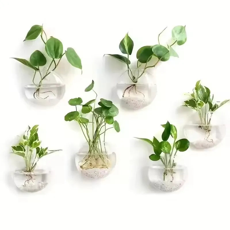 2/4/6/8 Pack Wall Hanging Glass Terrarium - Self-Watering Hydroponic Planter for Home Office Decor, Handmade Round Crystal Vase