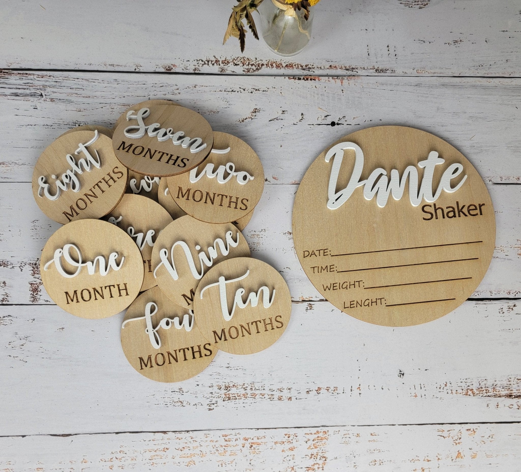 Baby Announcement Sign With Birth Stats and Milestone Discs