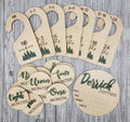 Baby Bundle: Announcement Sign With Birth Stats, Monthly Milestone Discs and  Closet Dividers