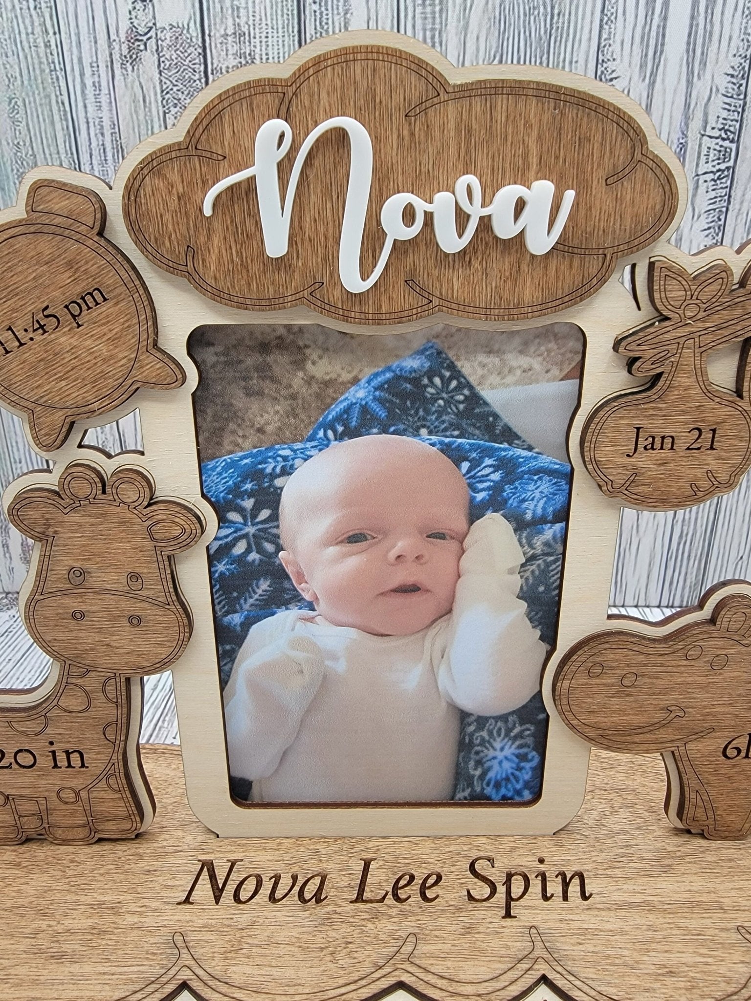 Birth Announcement Frame