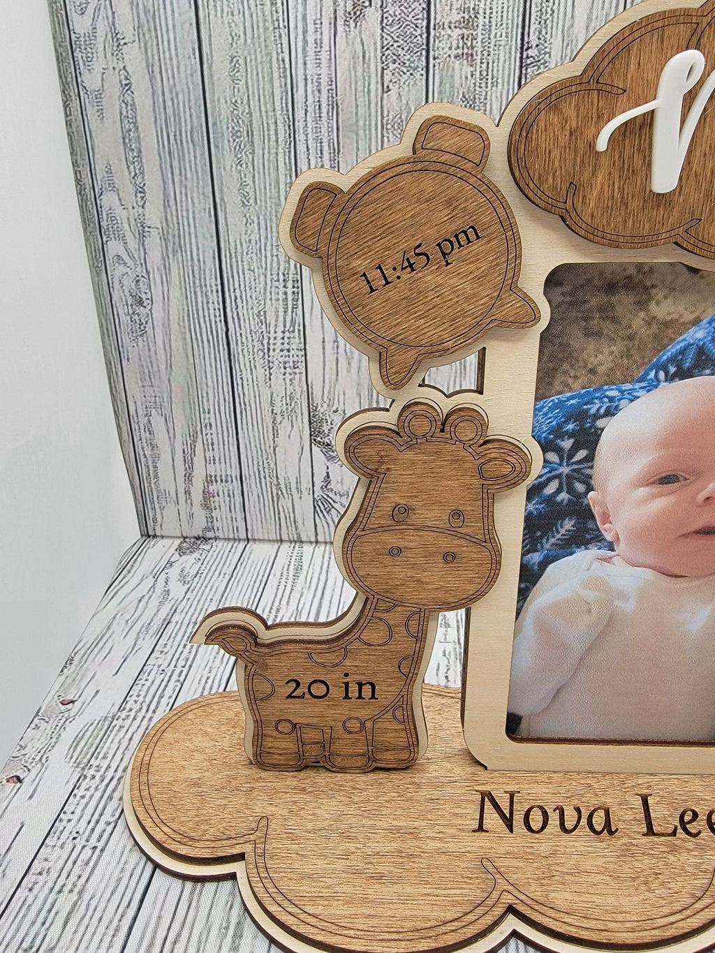 Birth Announcement Frame