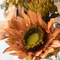 Peach Blush Sunflower Seeds – Soft, Warm-Toned Blooms for Gardens & Bouquets