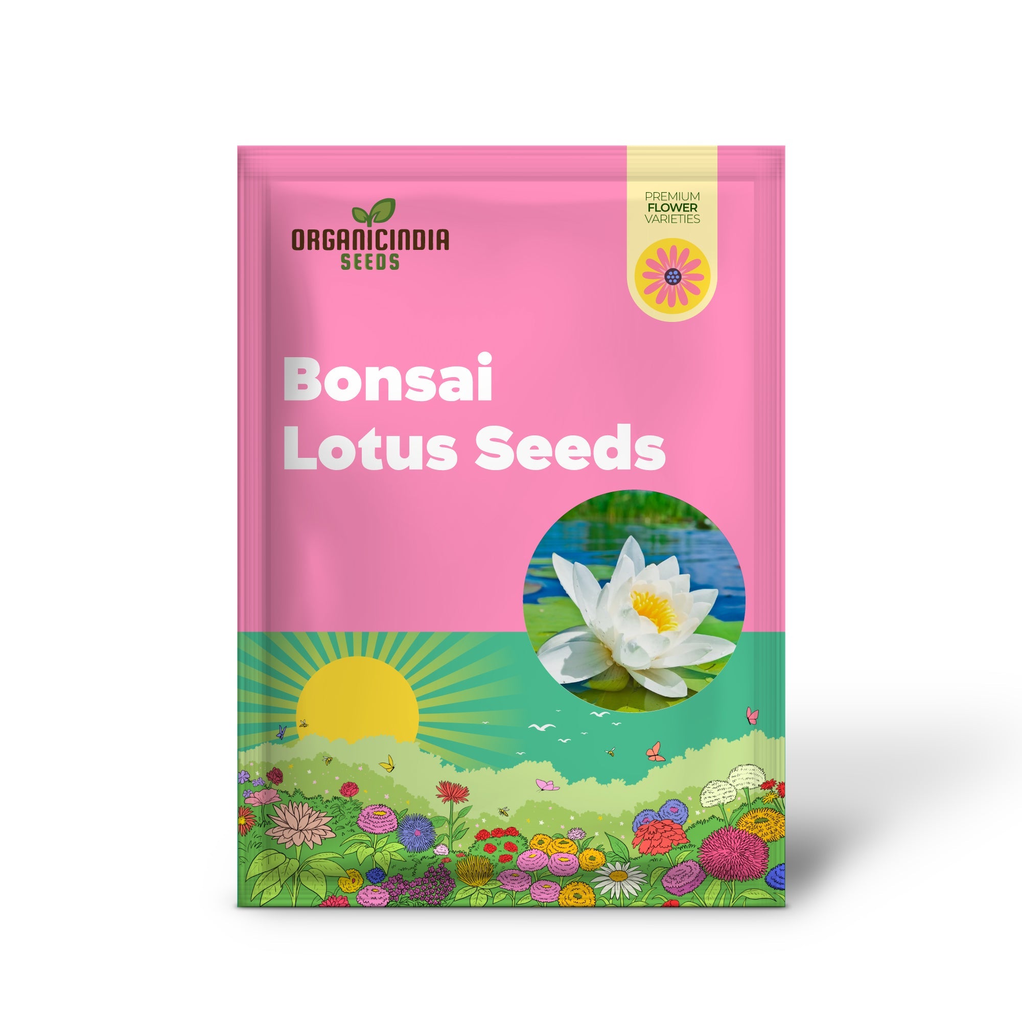 Lotus Seeds (Open Mouth Bonsai Lotus Seeds) - Compact Decorative Water Lily Blooms