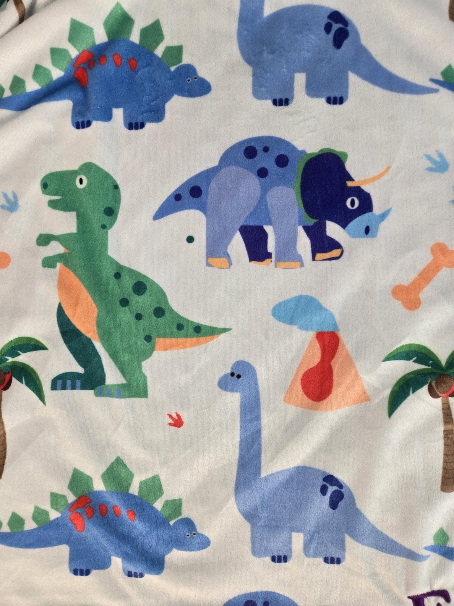 Personalized Baby/Toddler Blanket