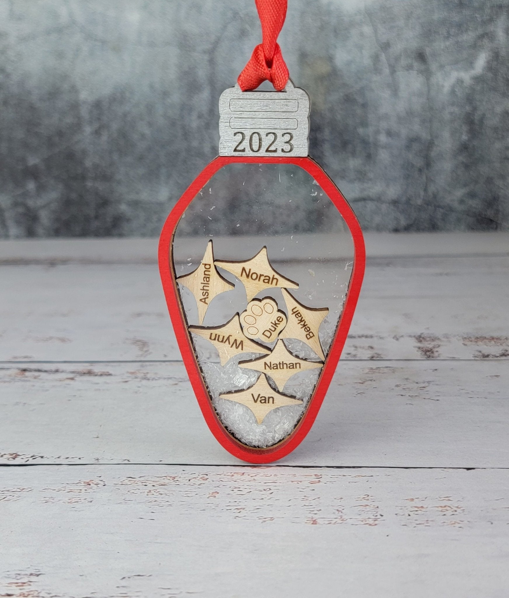 2025 Family Ornament Light Bulb Edition