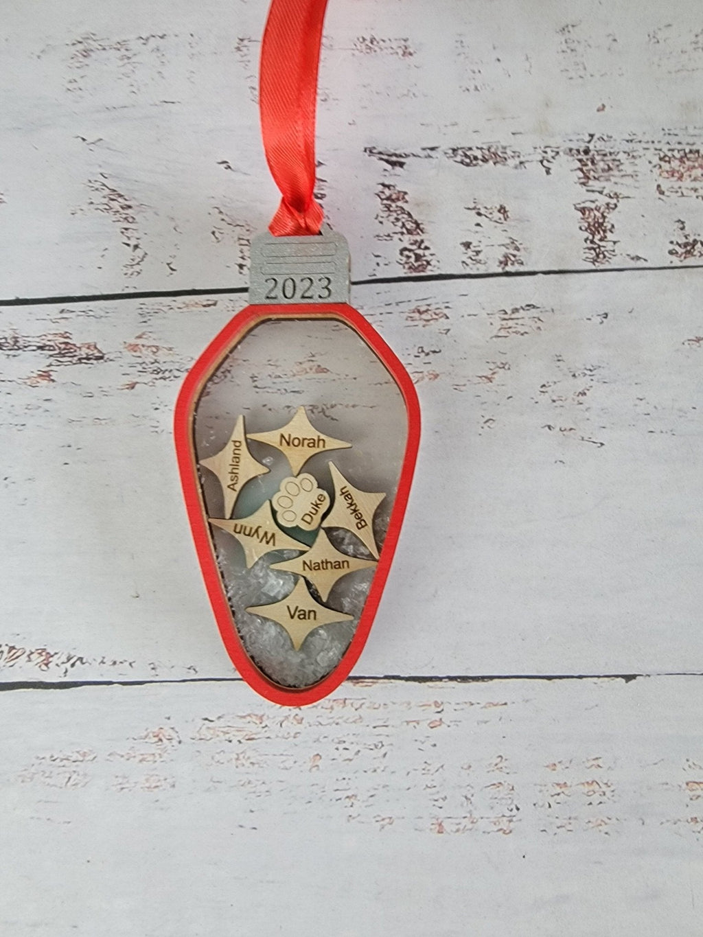 2025 Family Ornament Light Bulb Edition