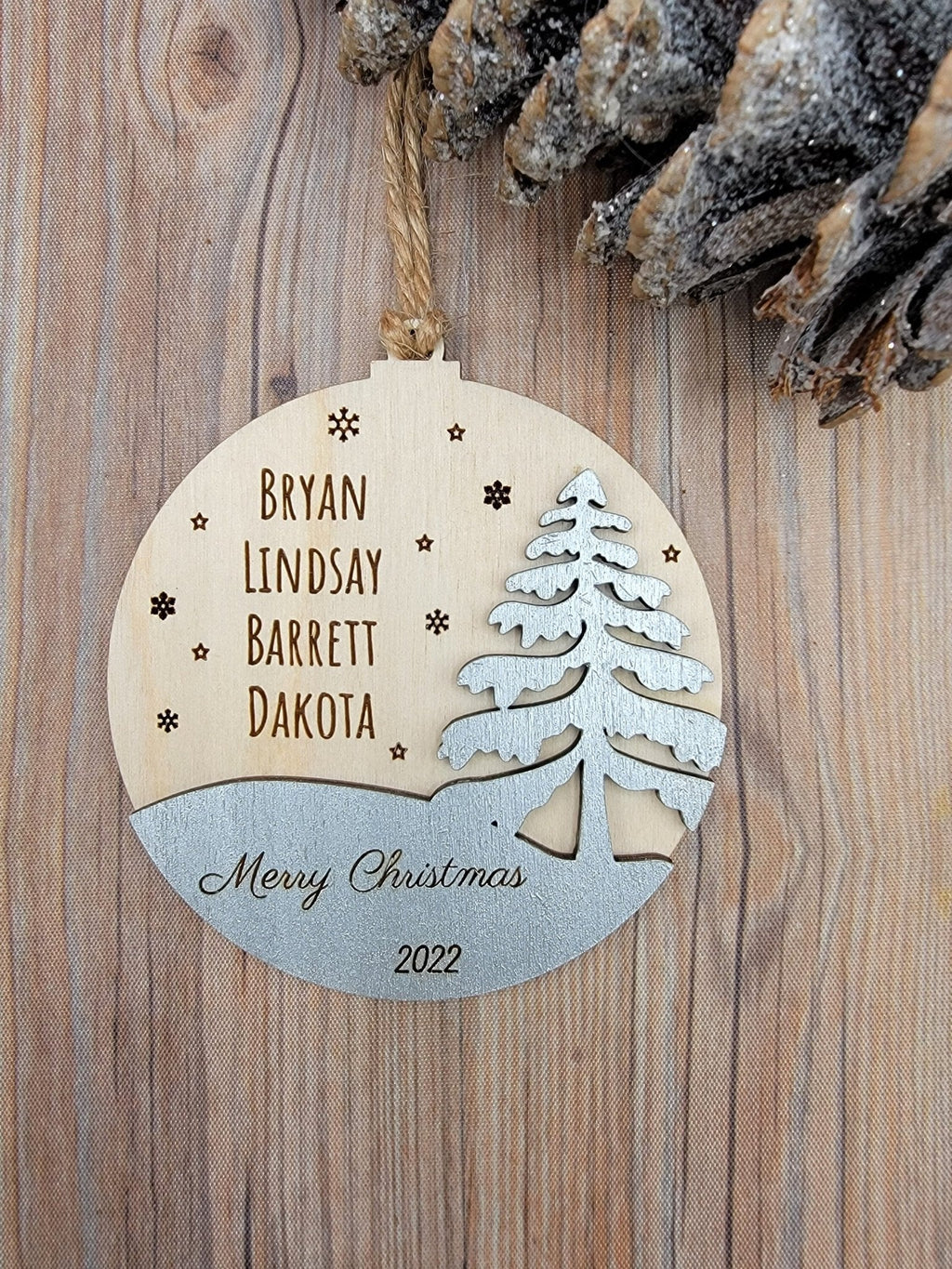 2025 Family Ornament Winter Edition