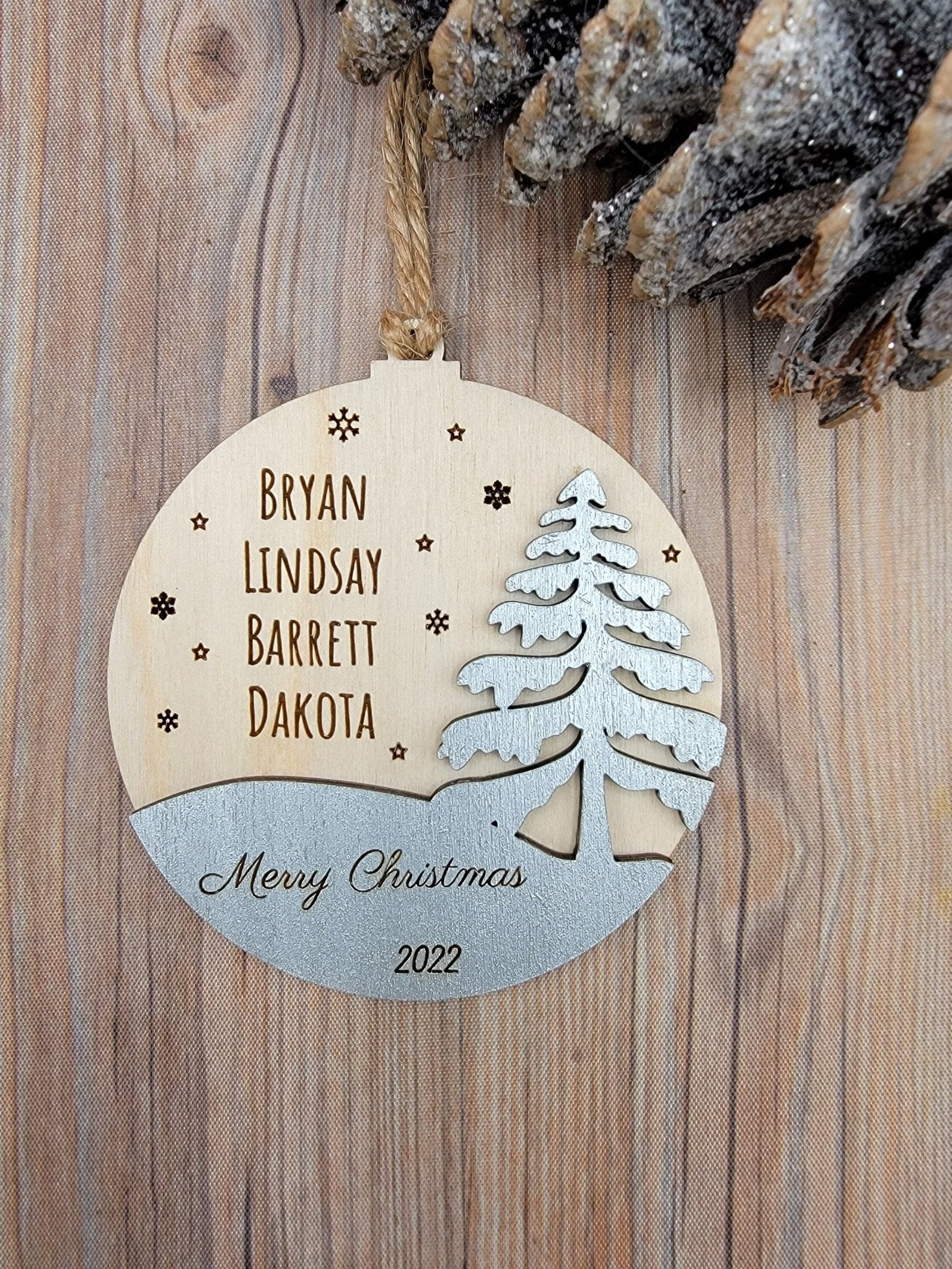 2025 Family Ornament Winter Edition
